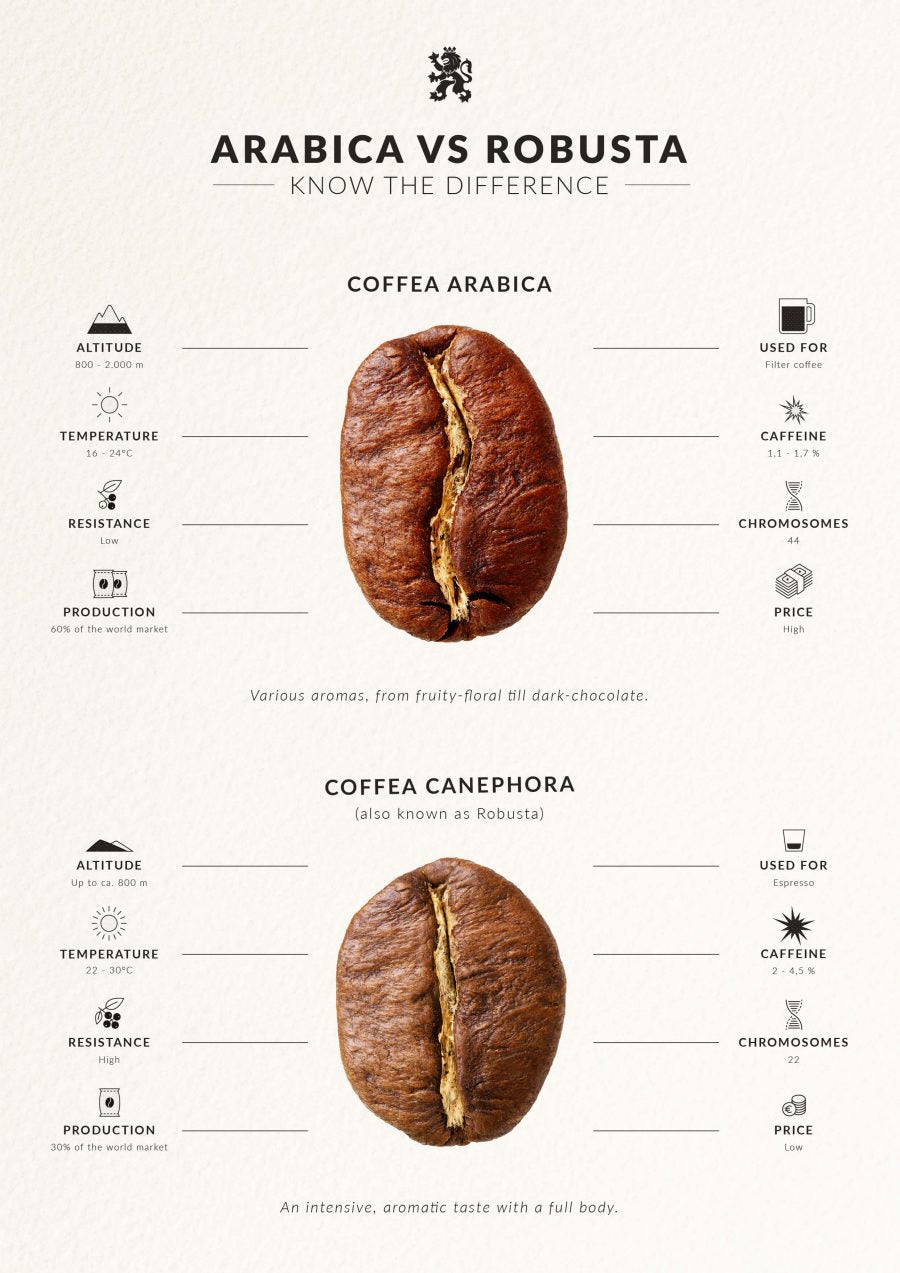 Infographic comparing Arabica and Robusta coffee beans, showing key differences in origin, time to blossom, caffeine content, taste, altitude, and market share.