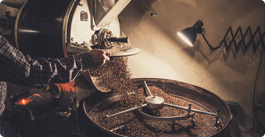 Brew Like a Pro: Essential Equipment for Coffee Lovers