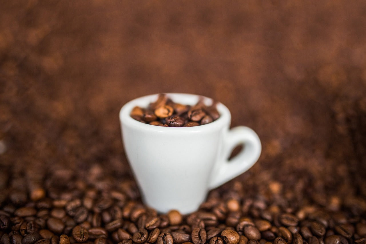 Espresso vs. Drip Coffee: A Brew Battle