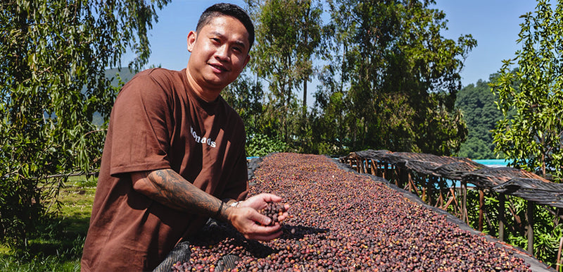 Ethiopian Coffee: Origin to Export
