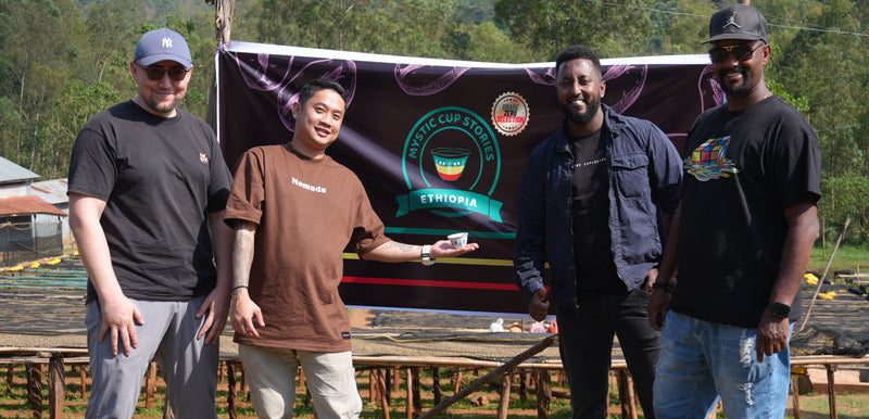 Ethiopian Coffee: Origin to Export