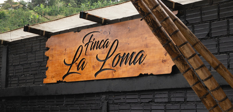 Colombia Trip at Finca La Loma
